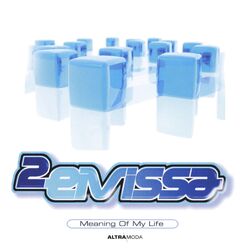 Cover of Meaning Of My Life