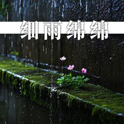 Cover of 细雨绵绵