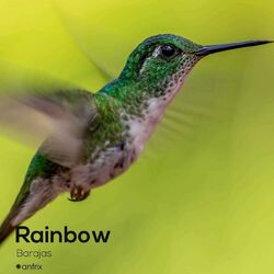 Cover of Rainbow