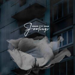 Cover of Feelings