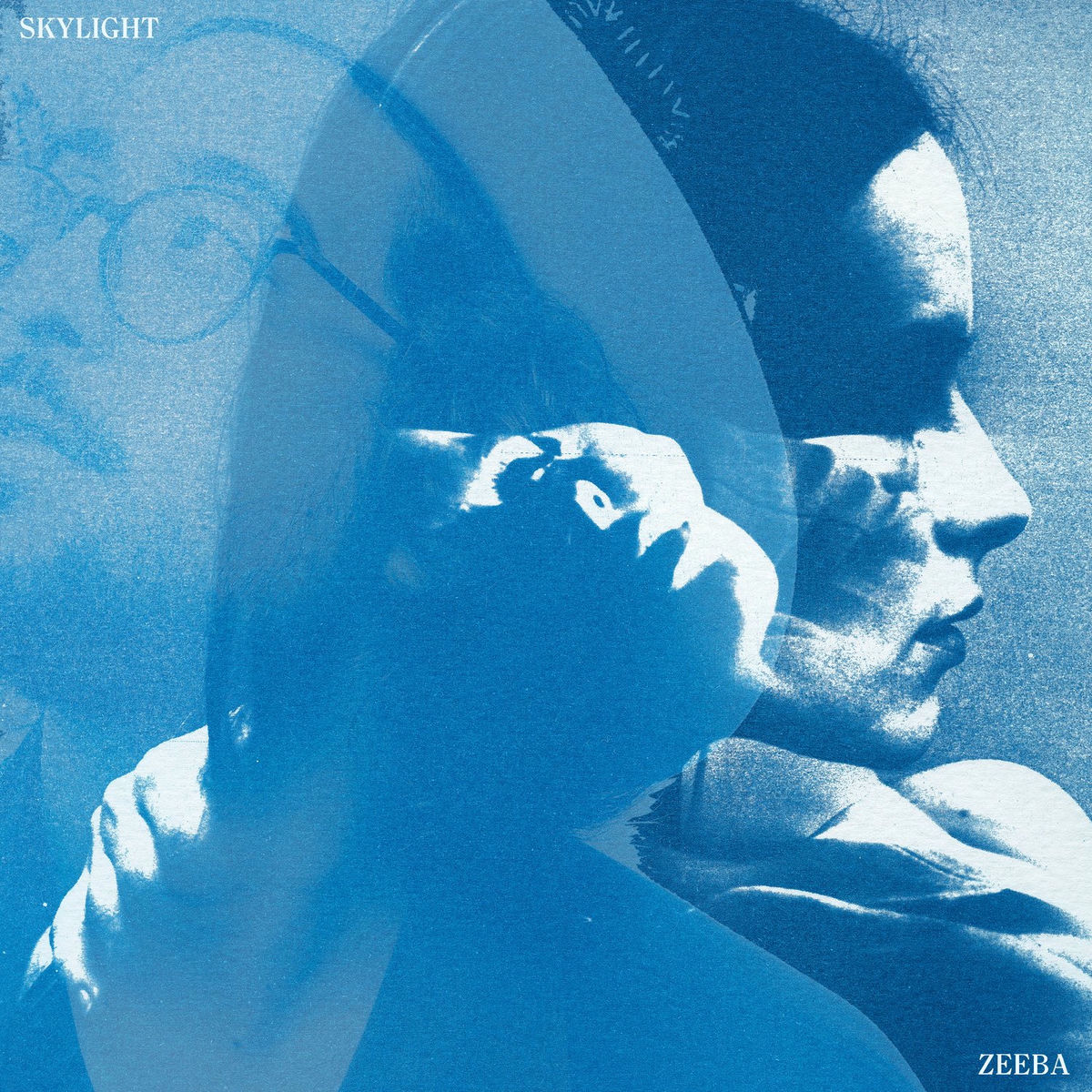 Album cover of Skylight