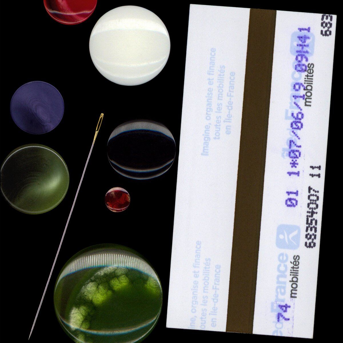 Album cover of Can Thought Exist Without The Body
