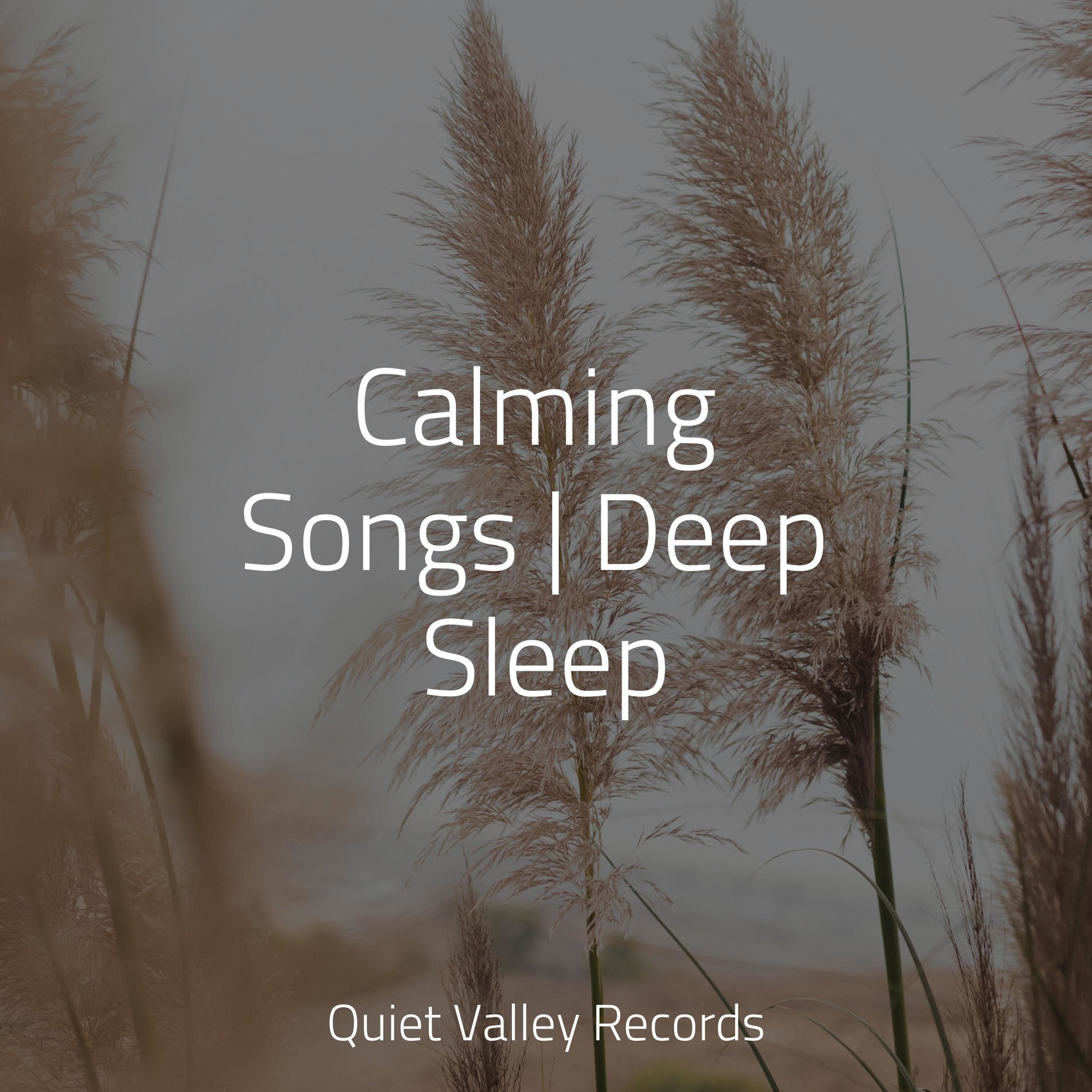 Album cover of Calming Songs | Deep Sleep