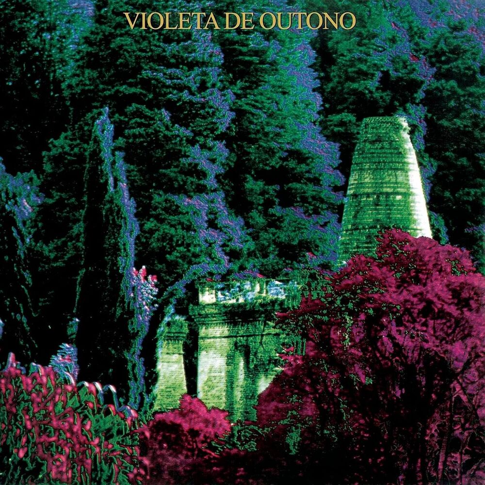 Picture of Violeta de Outono
