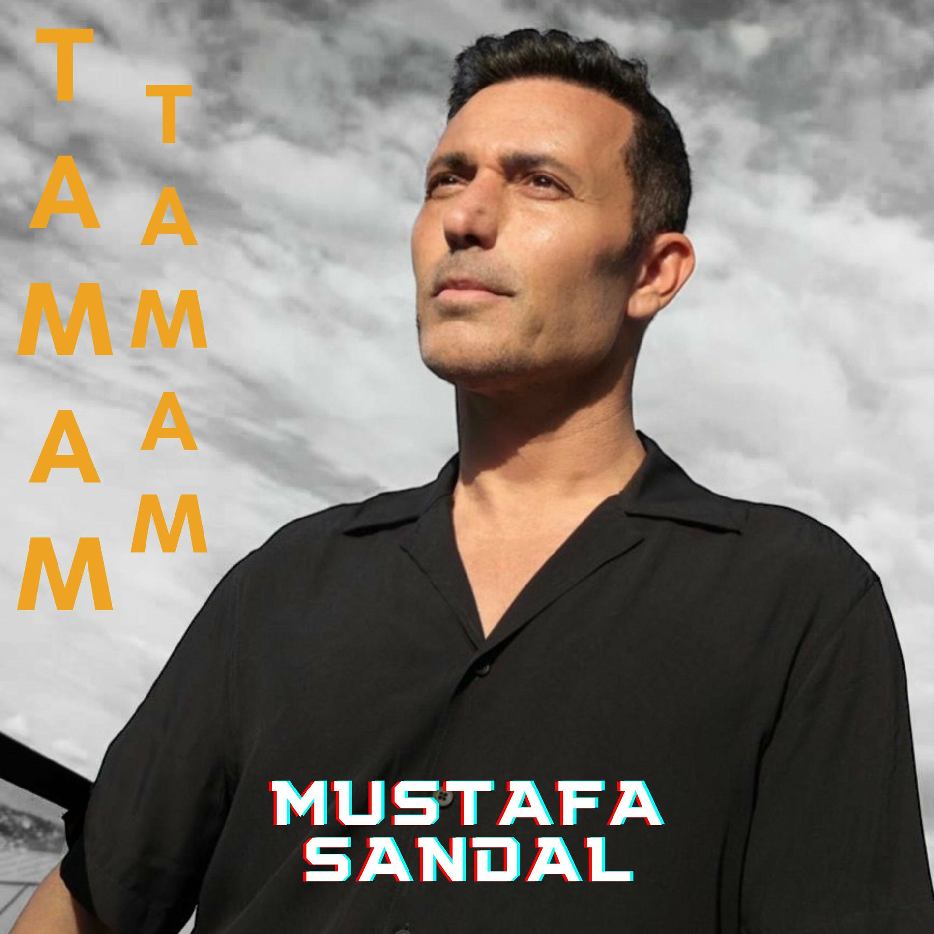 Album cover of Tamam Tamam