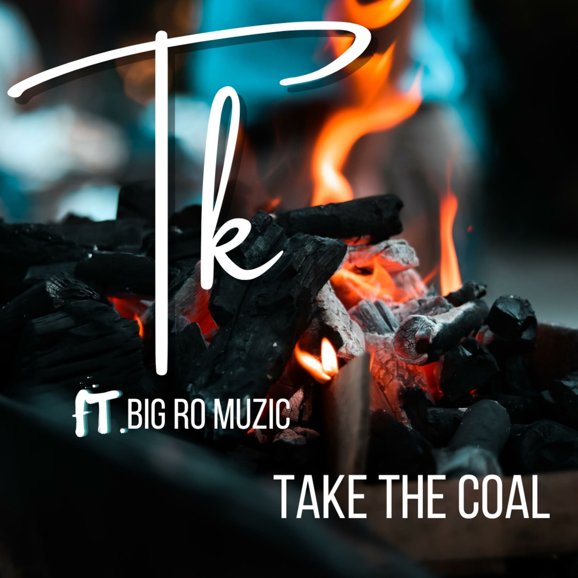 Album cover of Take The Coal