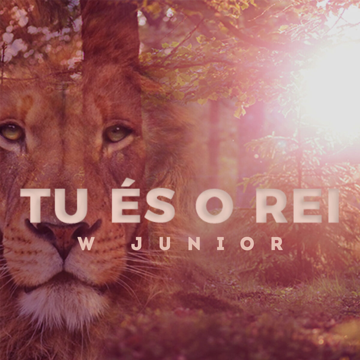 Album cover of Tu És o Rei