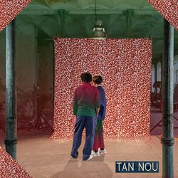 Cover of Tan Nou
