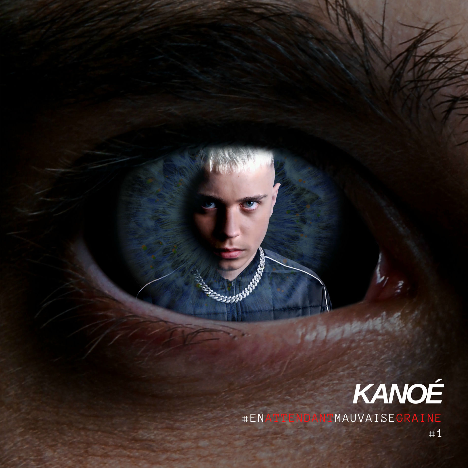 Album cover of #En attendant mauvaise graine #1