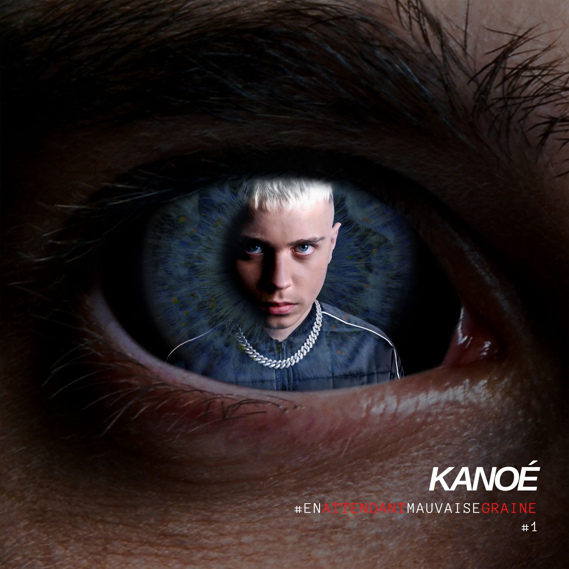 Album cover of #En attendant mauvaise graine #1