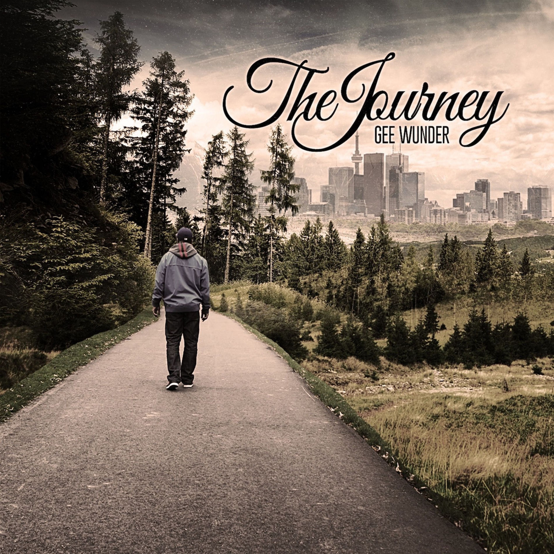 Album cover of The Journey