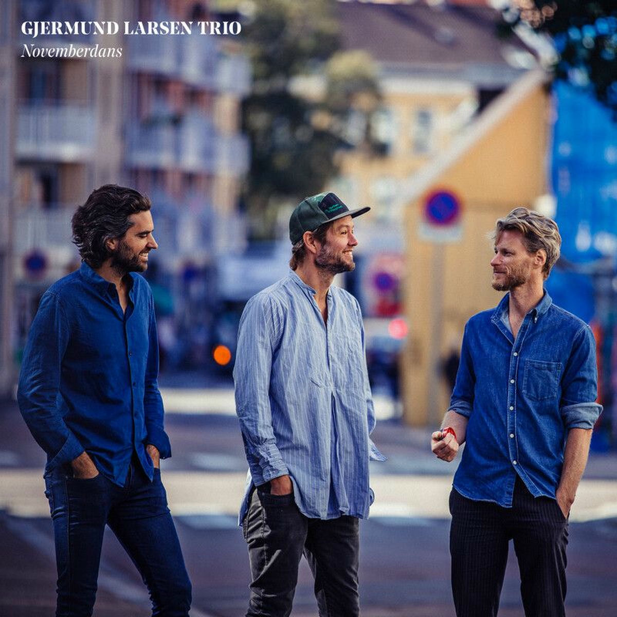 Album cover of Novemberdans