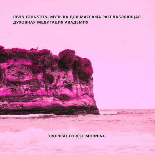Tropical forest morning