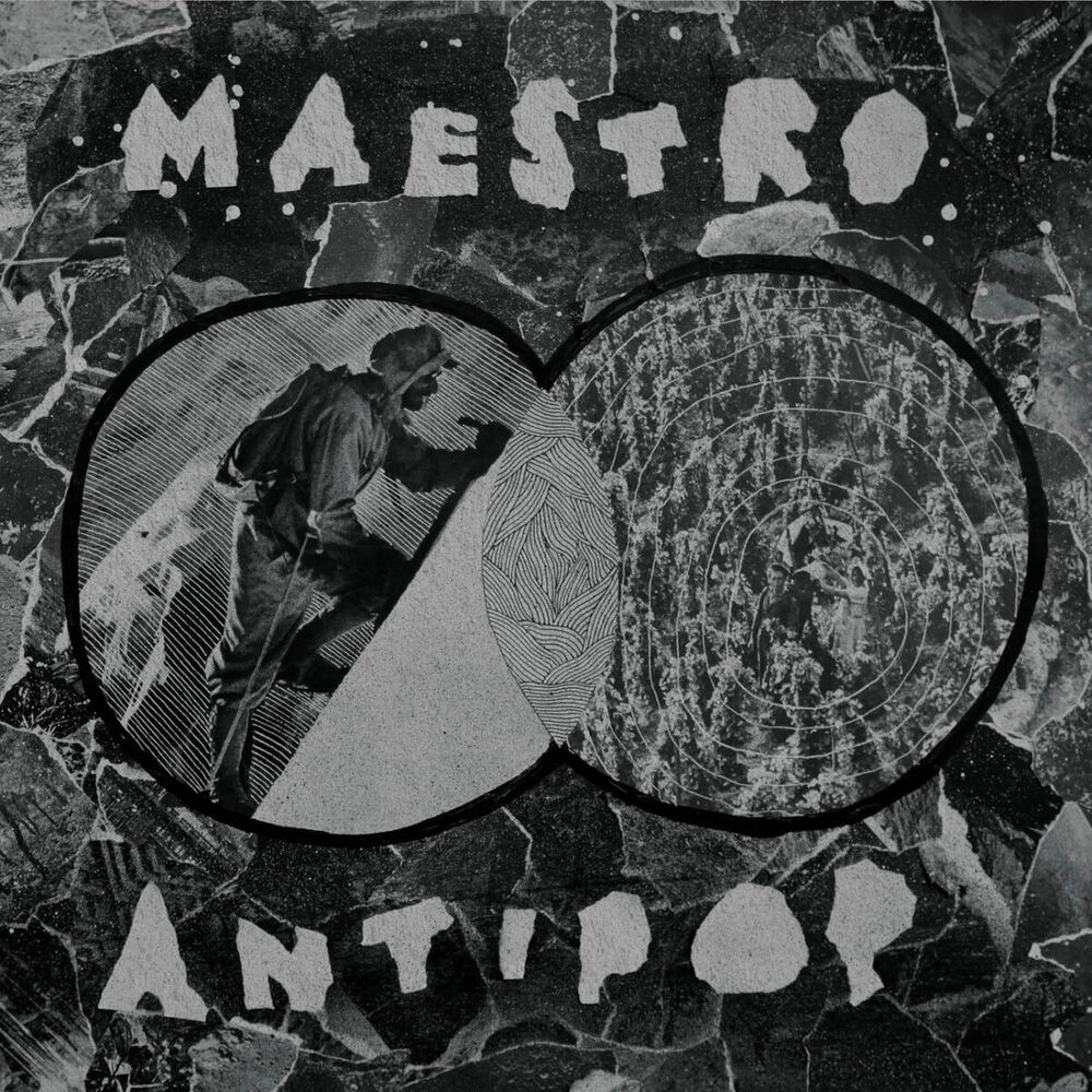Picture of Maestro Antipop