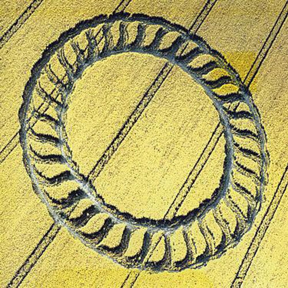 Picture of Full Circle