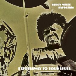Cover of Expressway To Your Skull