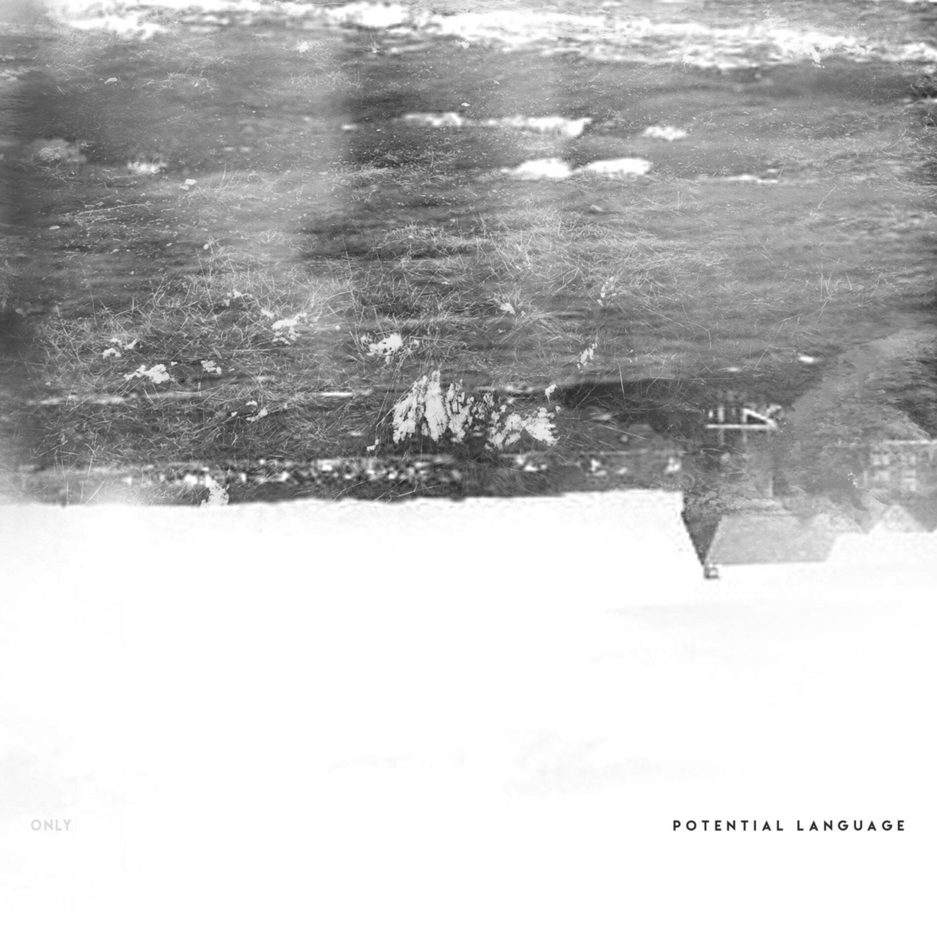 Album cover of Potential Language