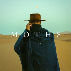 Cover of Moths