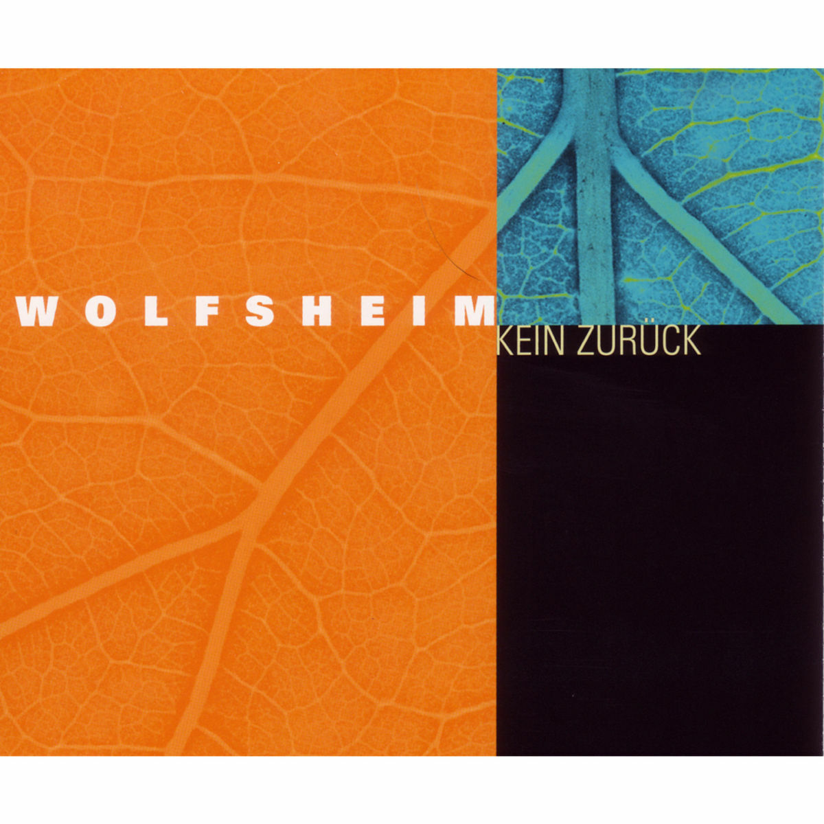 Album cover of Iou