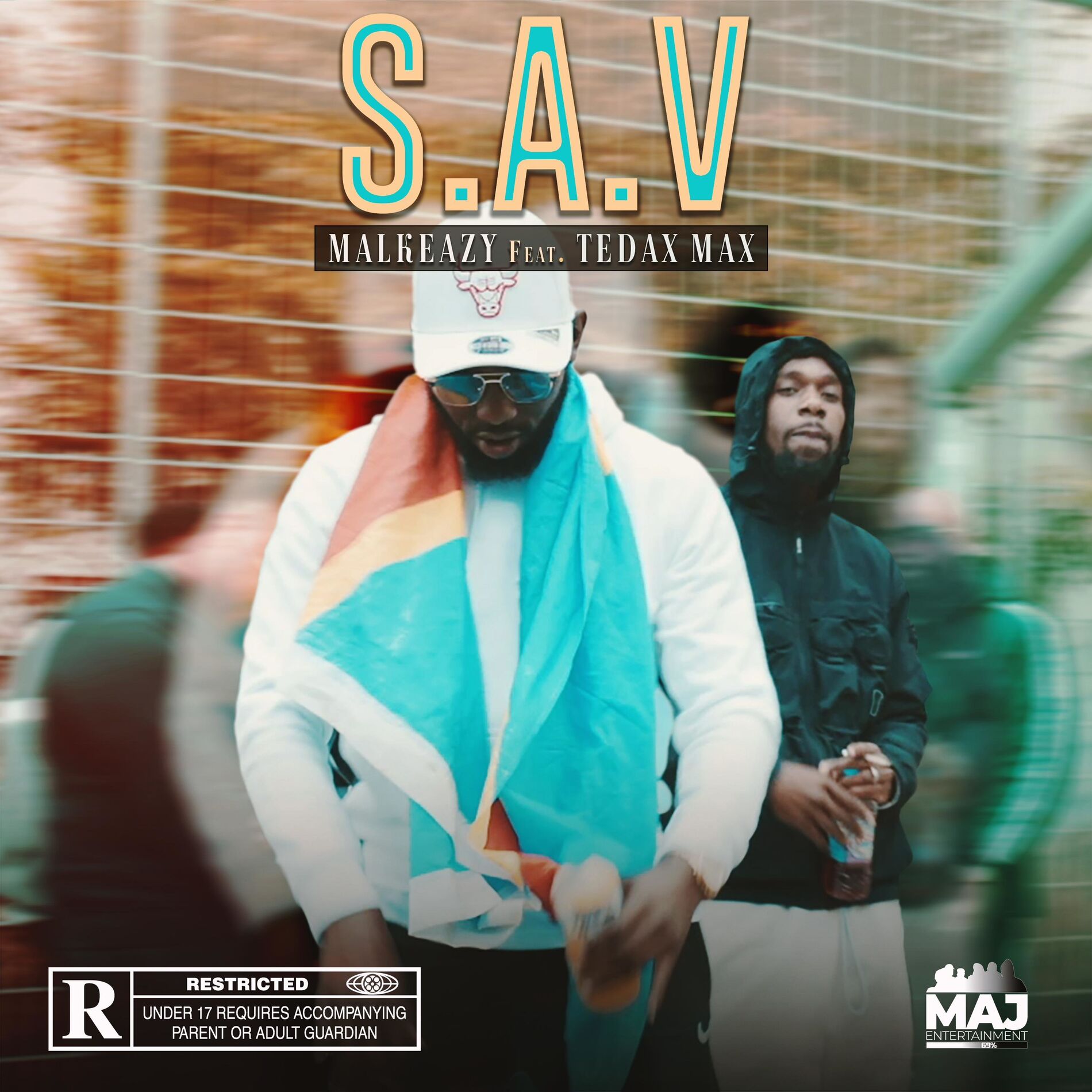 Album cover of S.A.V (feat. Tedax Max)