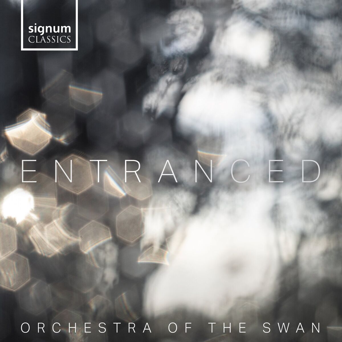 Album cover of Entranced
