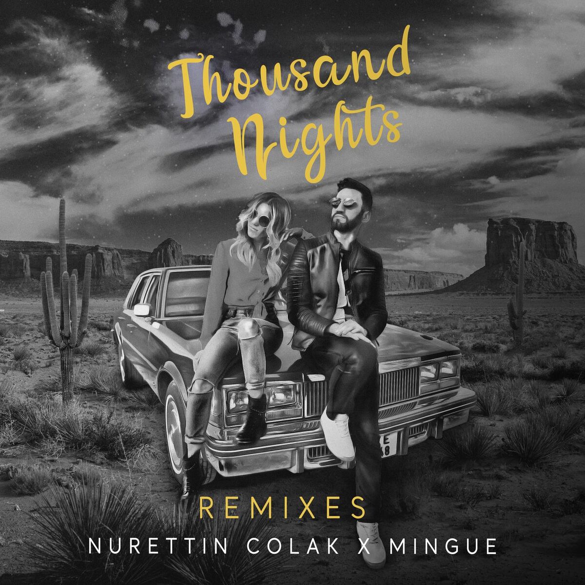 Album cover of Thousand Nights (Remixes)