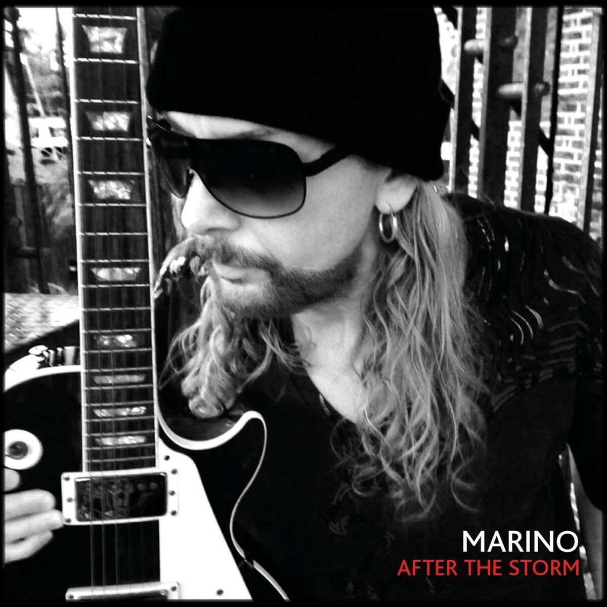 Album cover of After the Storm