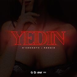 Cover of YEDIN