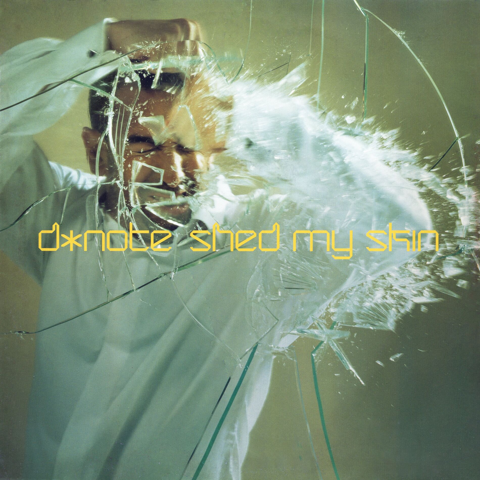 Album cover of Shed My Skin