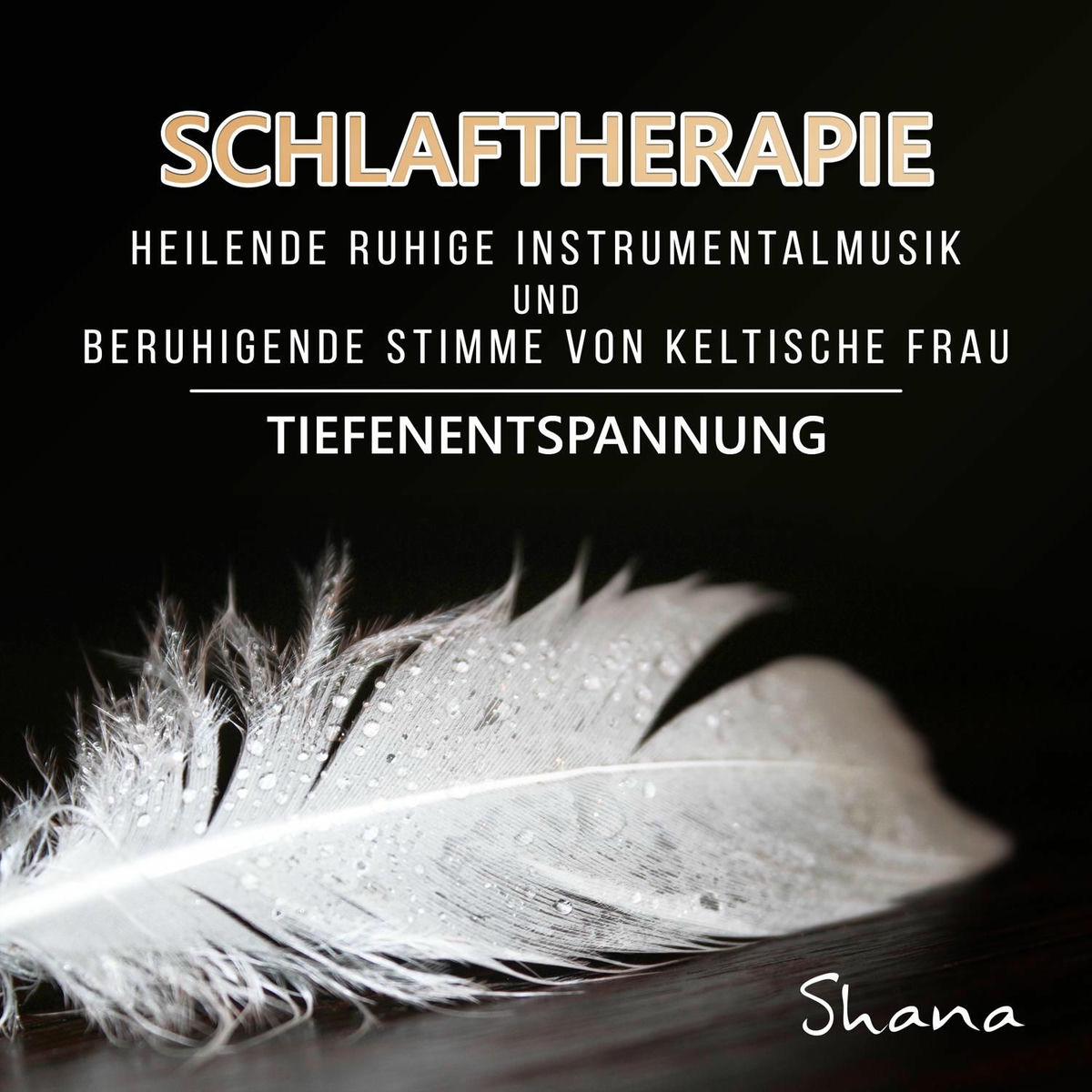 Album cover of Schlaftherapie: Heilende ruhige Instrumentalmusik und beruhigende Stimme von keltische Frau - Tiefenentspannung