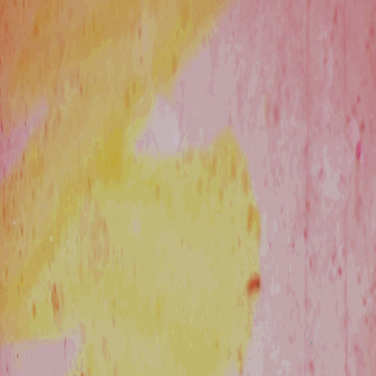 Album cover of Save