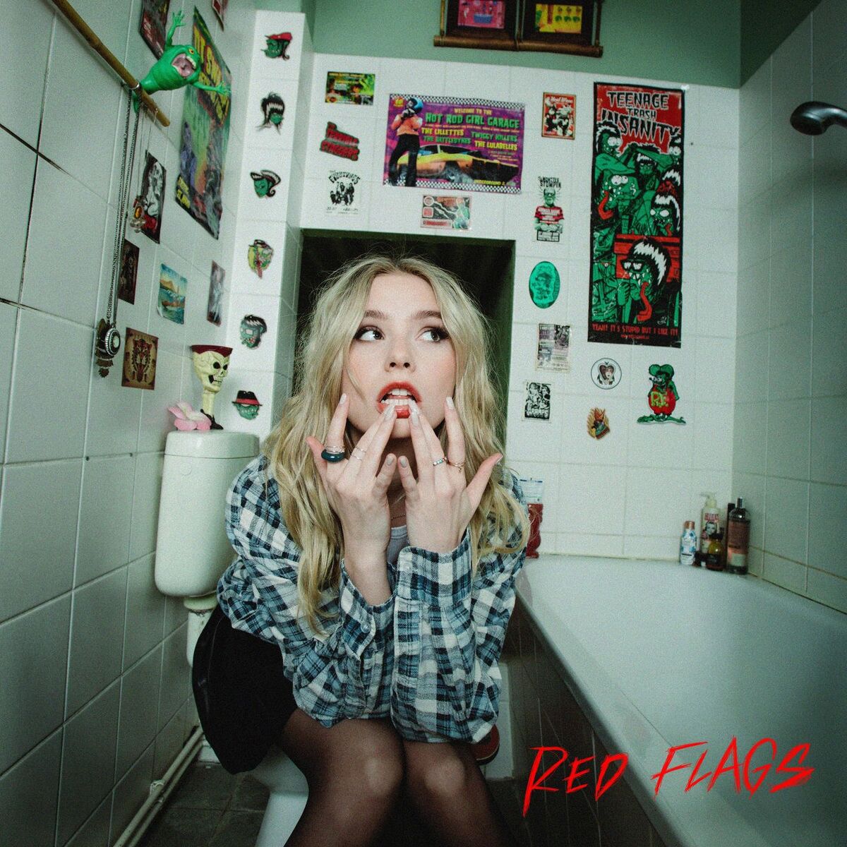 Album picture of Red Flags
