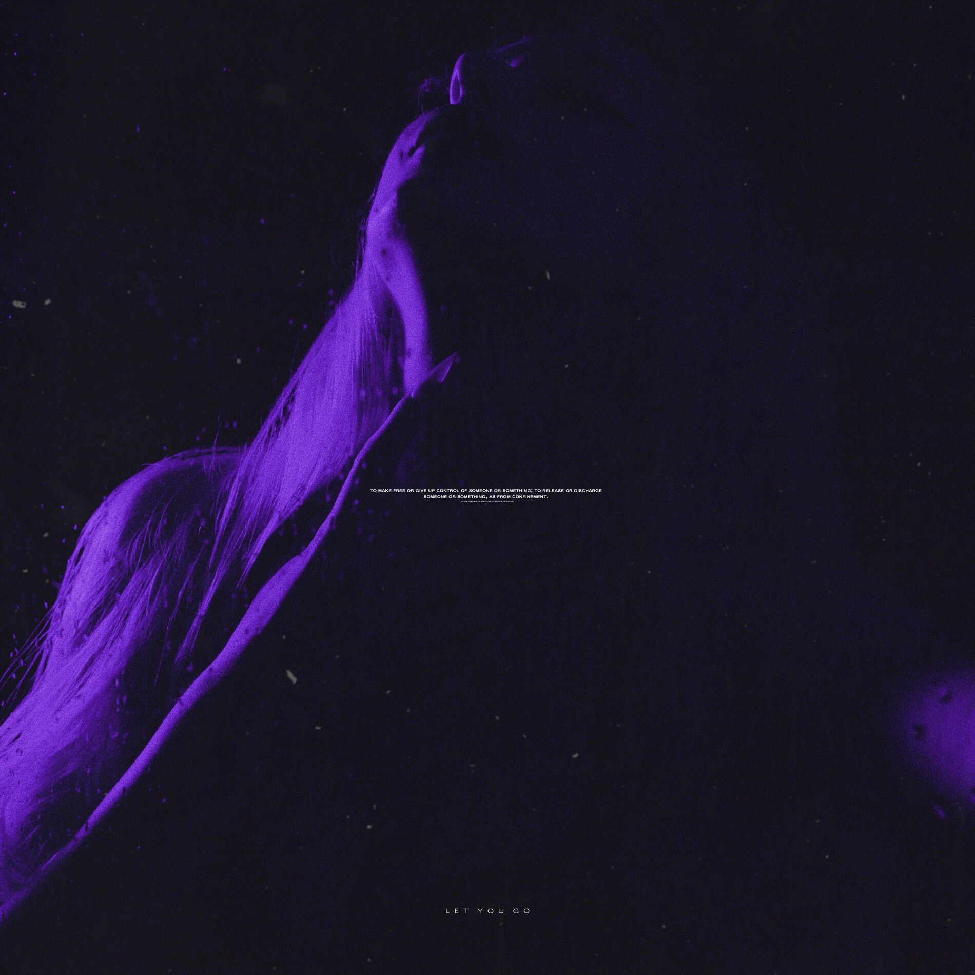 Album cover of let you go