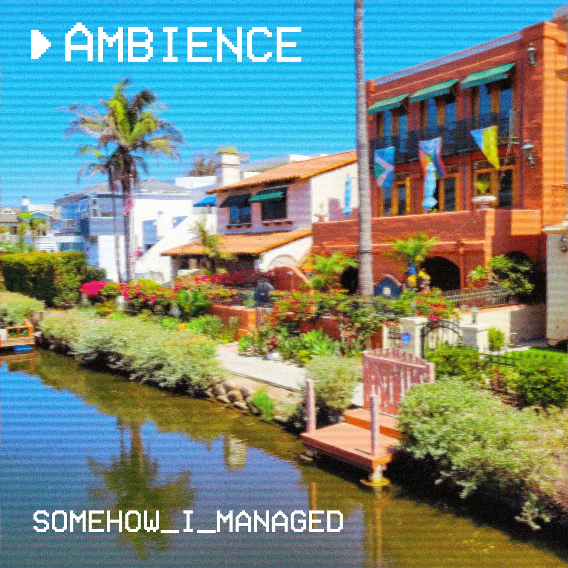 Album cover of Somehow I Managed