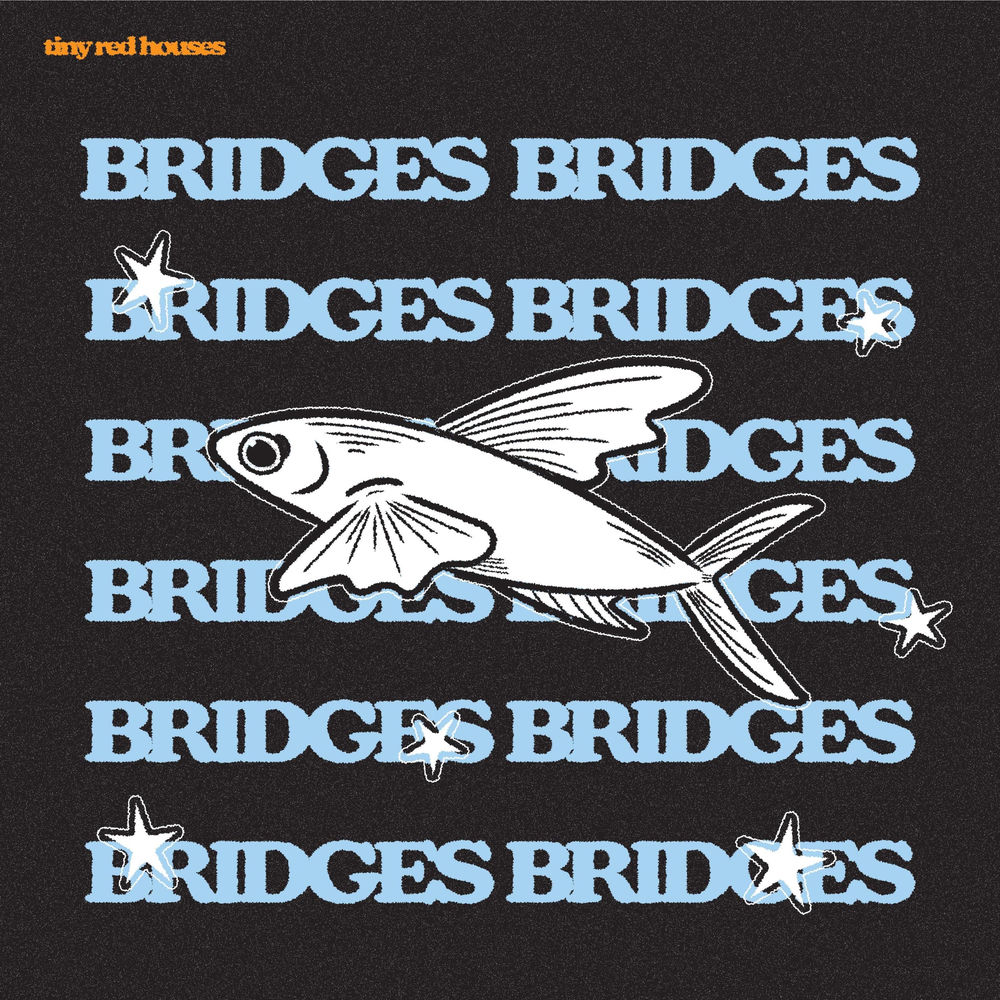 bridges artwork