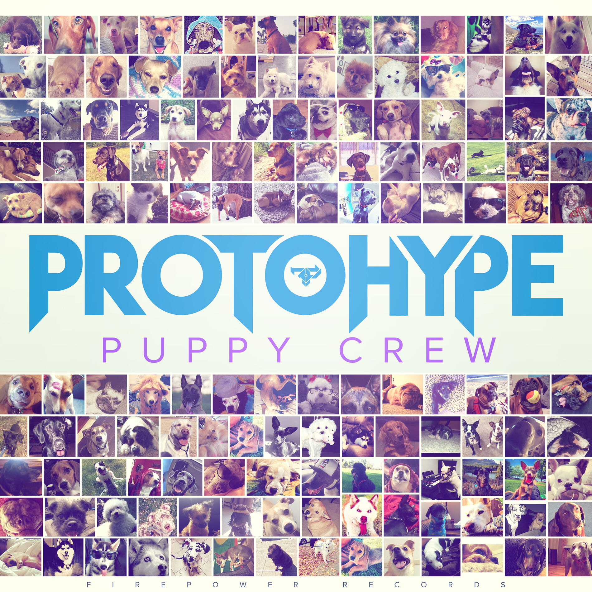 Album cover of Puppy Crew
