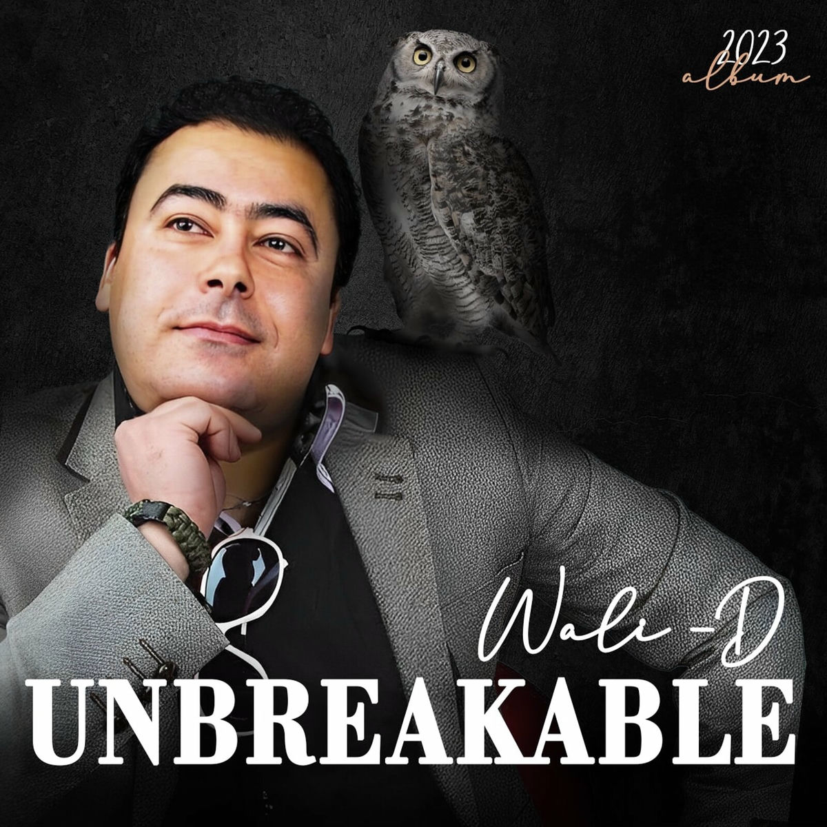 Album cover of Unbreakable