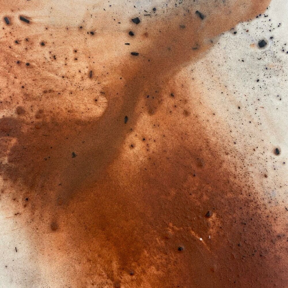 Picture of Dust