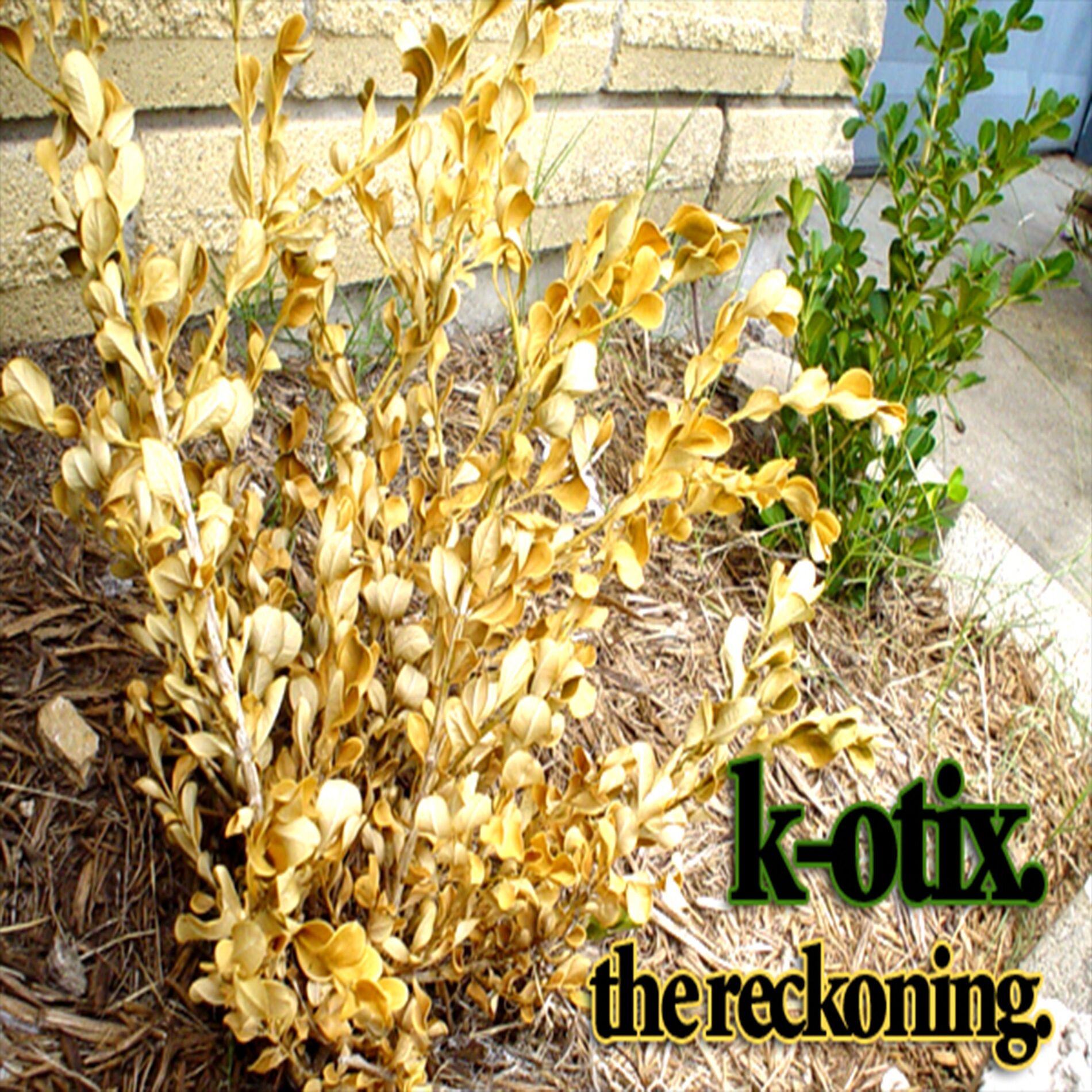 Album cover of The Reckoning