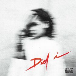 Cover of Did I