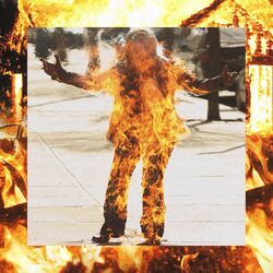 Cover of Self-Immolation