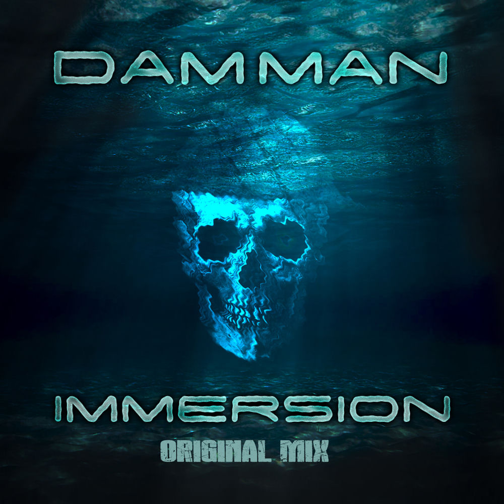 Album artwork for Immersion by DaMMaN