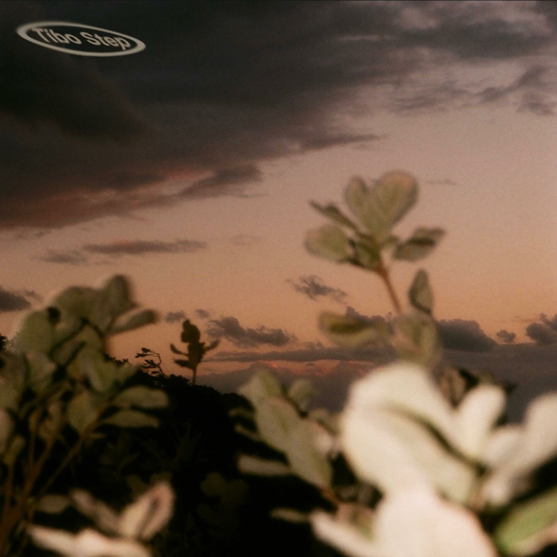 Album cover of without u