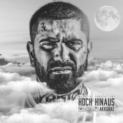 Cover of Hoch hinaus