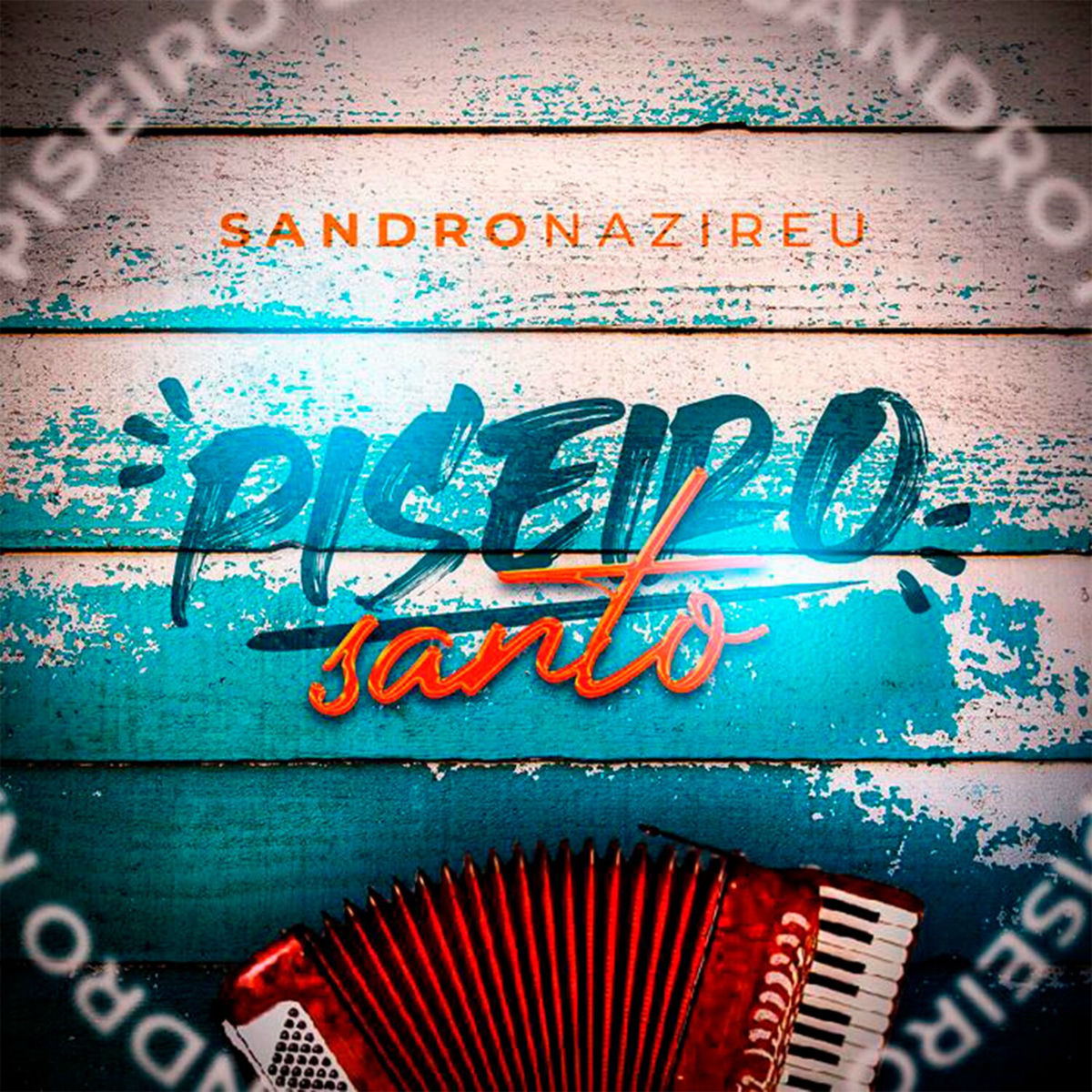 Album cover of Piseiro Santo