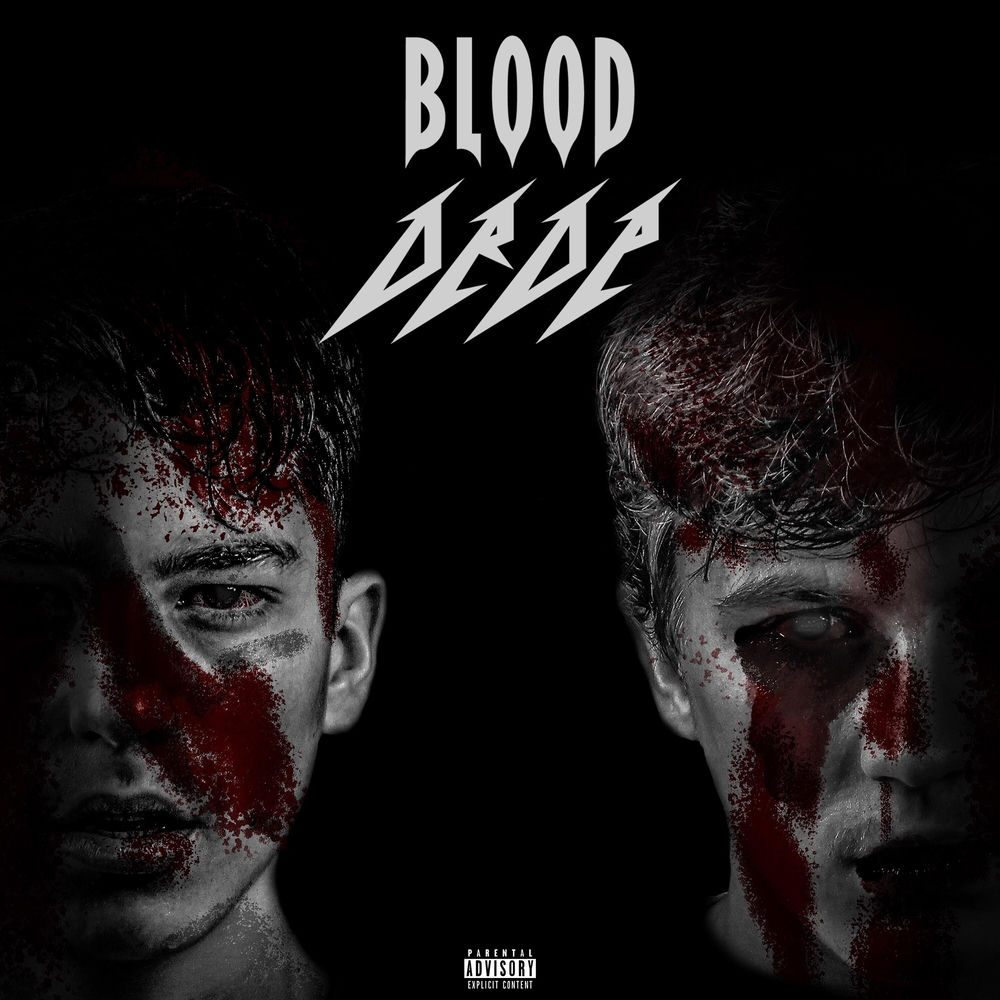 Album artwork for Blood by Drake the Fake