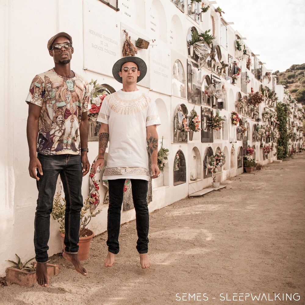Picture of Sleepwalking