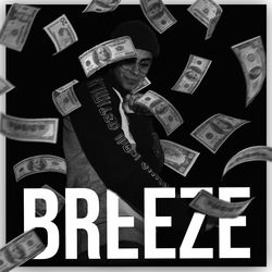 Cover of Breeze by undefined