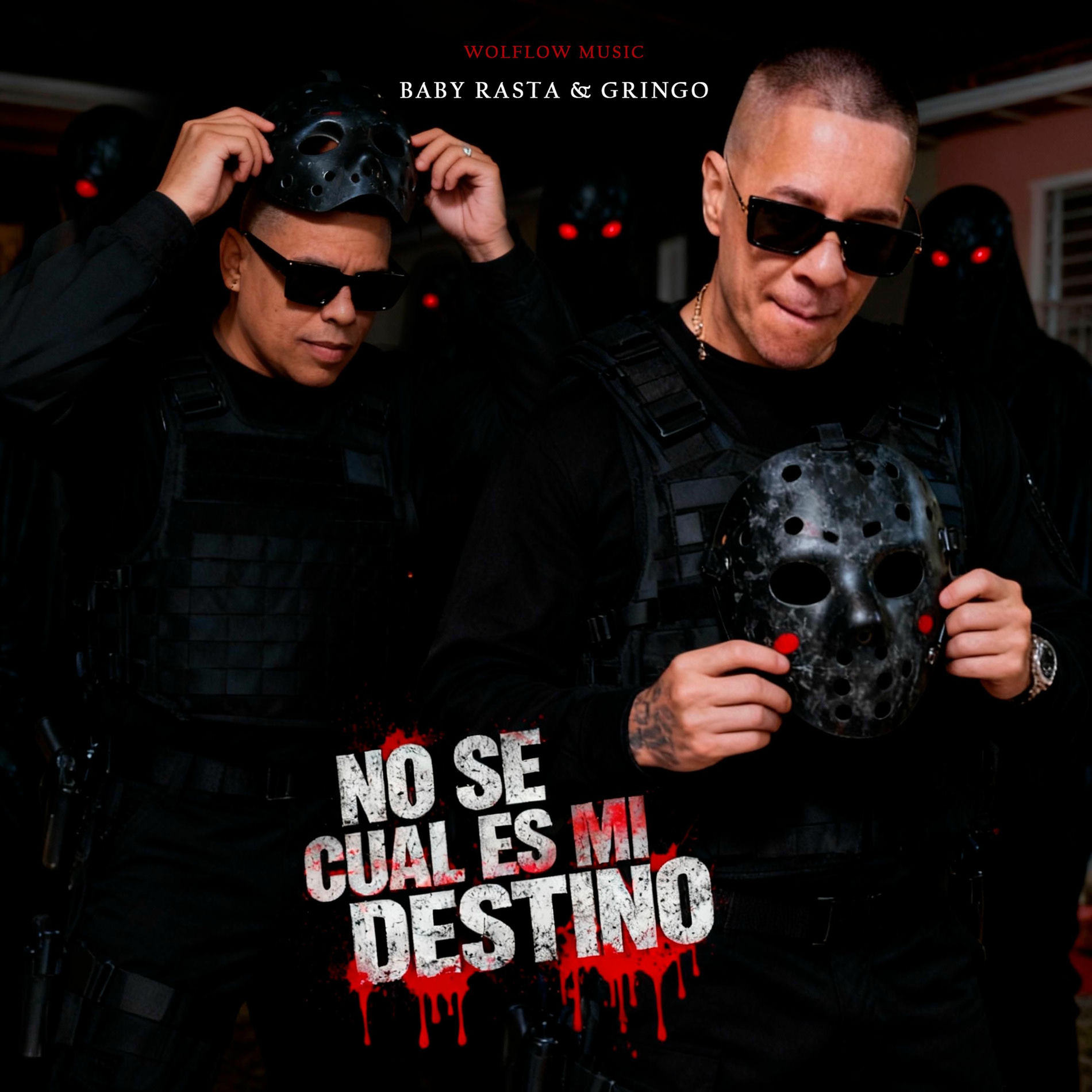 Album cover of No Se Cual Es Mi Destino