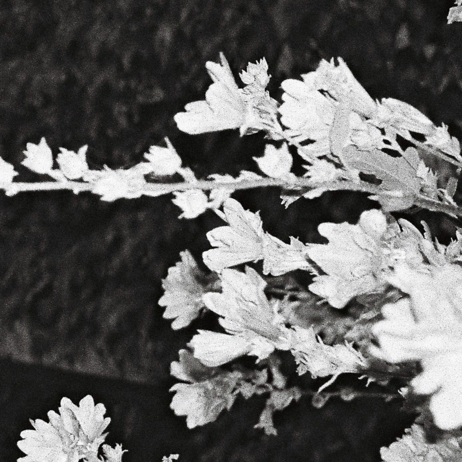 Album cover of lock & key
